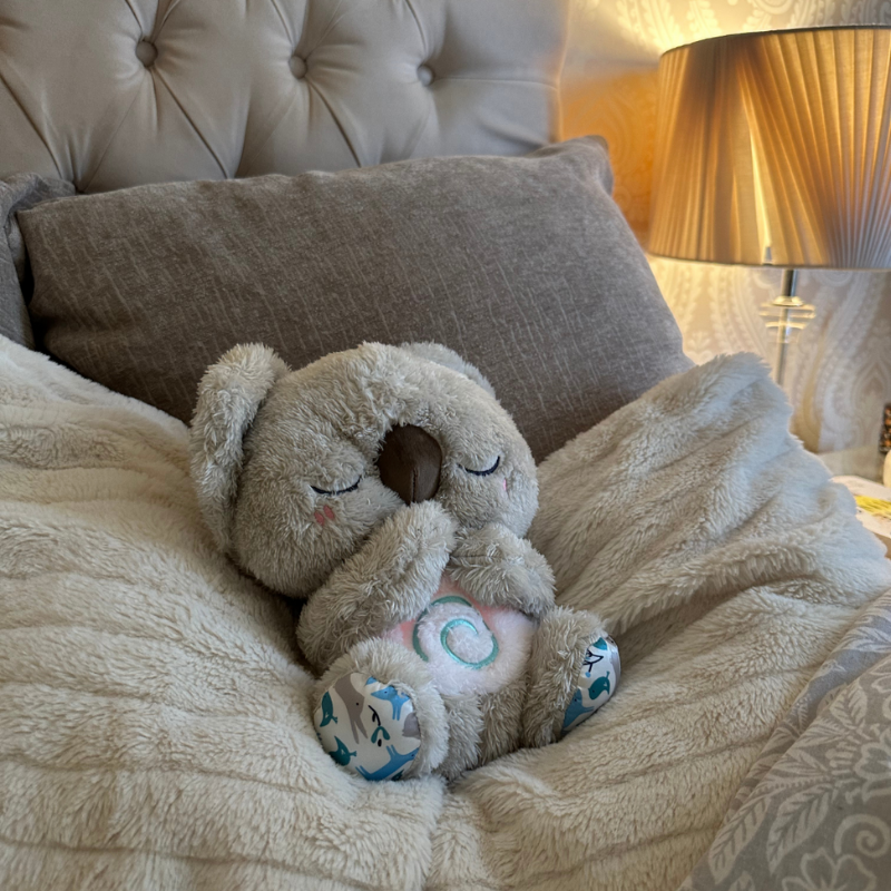 Kalmerende Koala Knuffel 2.0 – Aurora Essentials, حجم الصورة 800x800