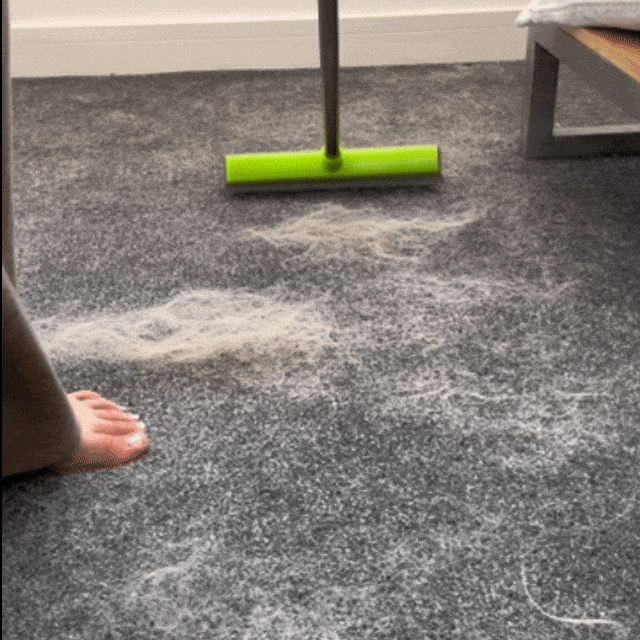 Aurora® FurBuster